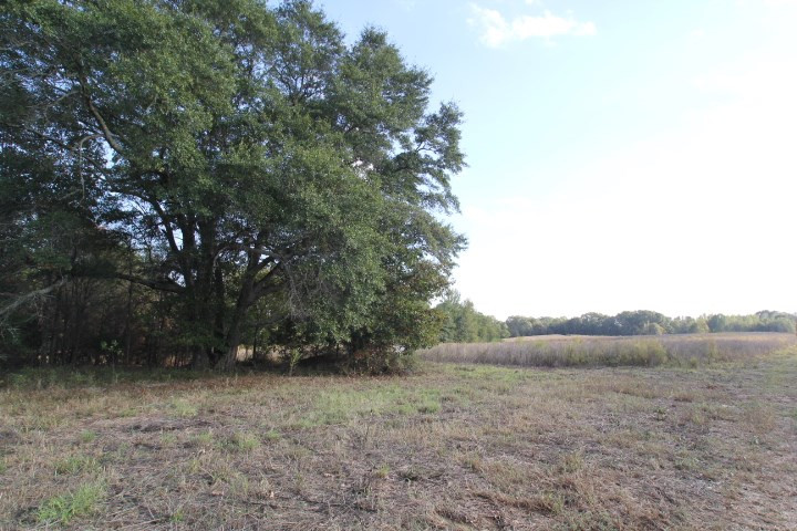 1000 Pocahontas Road Jackson, MS 39213 - Photo 8 of 39 Photo 8