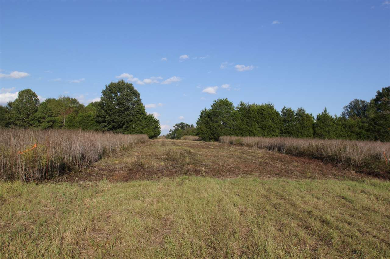 1000 Pocahontas Road Jackson, MS 39213 - Photo 9 of 39 Photo 9