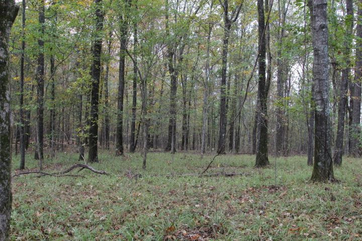 1000 Pocahontas Road Jackson, MS 39213 - Photo 10 of 39 Photo 10