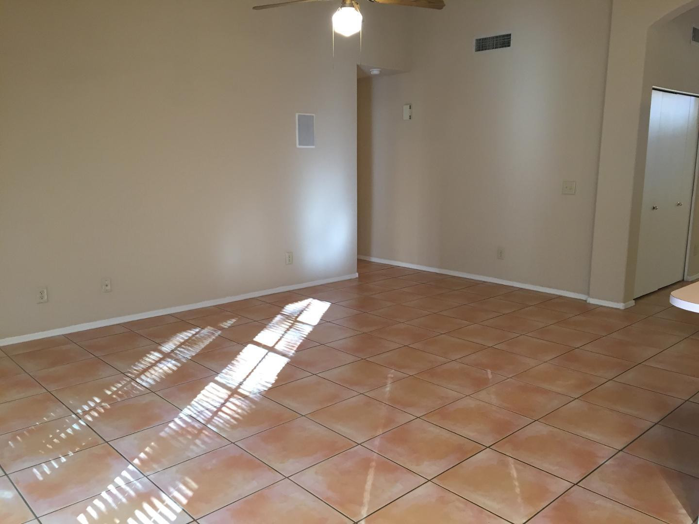 741 West Hackamore Street Gilbert, AZ 85233 - Photo 12 of 17 Photo #12