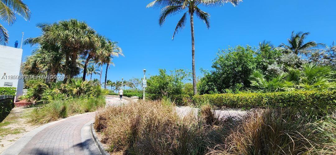 1621 Collins Avenue, Unit 404 Miami Beach, FL 33139 - Photo 23 of 26 a view of a garden