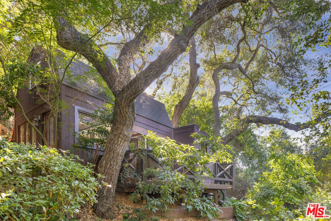 21714 Encina Road Topanga, CA 90290 - Photo 29 of 45 a picture of trees