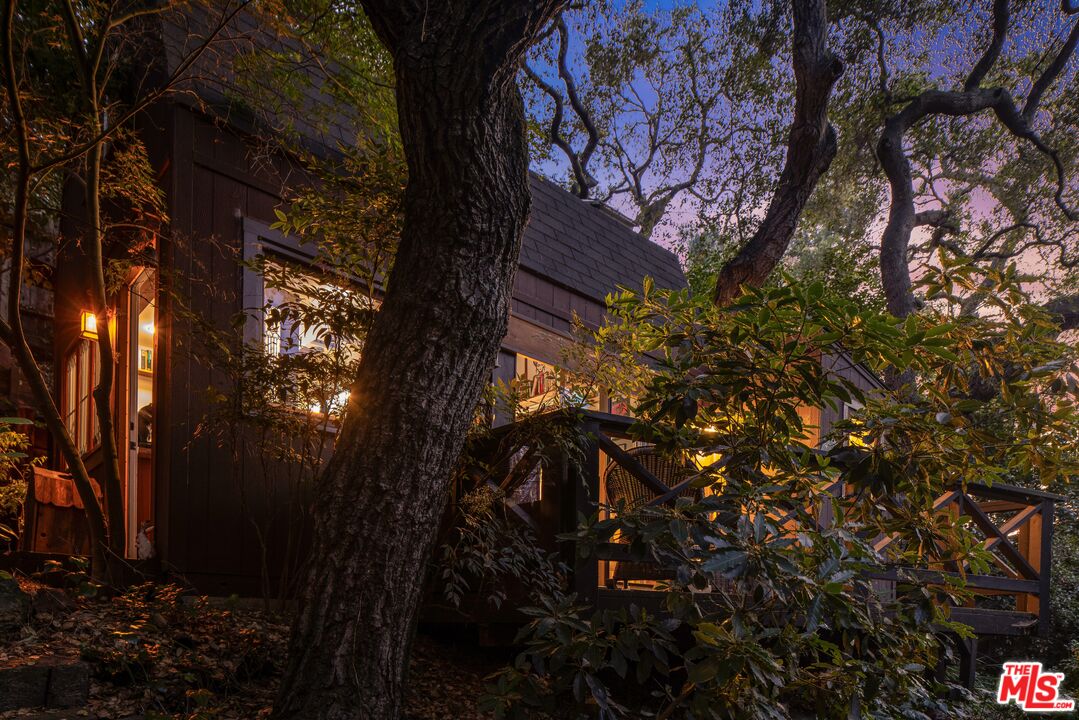 21714 Encina Road Topanga, CA 90290 - Photo 43 of 45 a picture of tree