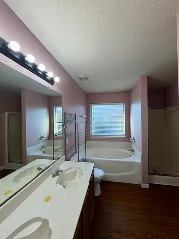a bathroom with a sink a large mirror and a bathtub