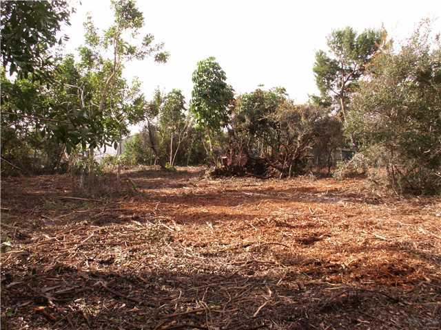 0 Southeast Lyons Road Hobe Sound, FL 33455 - Photo 8 of 10 Gallery Image 8
