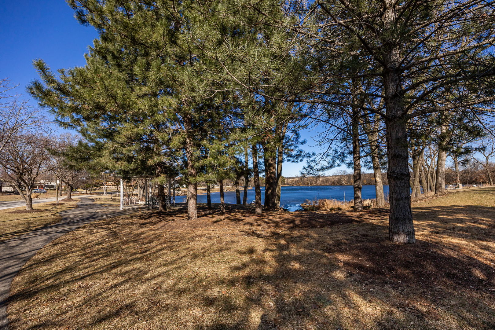140 Carriage Way Drive, Unit C218 Burr Ridge, IL 60527 - Photo 26 of 33 a backyard of a house with lots of green space