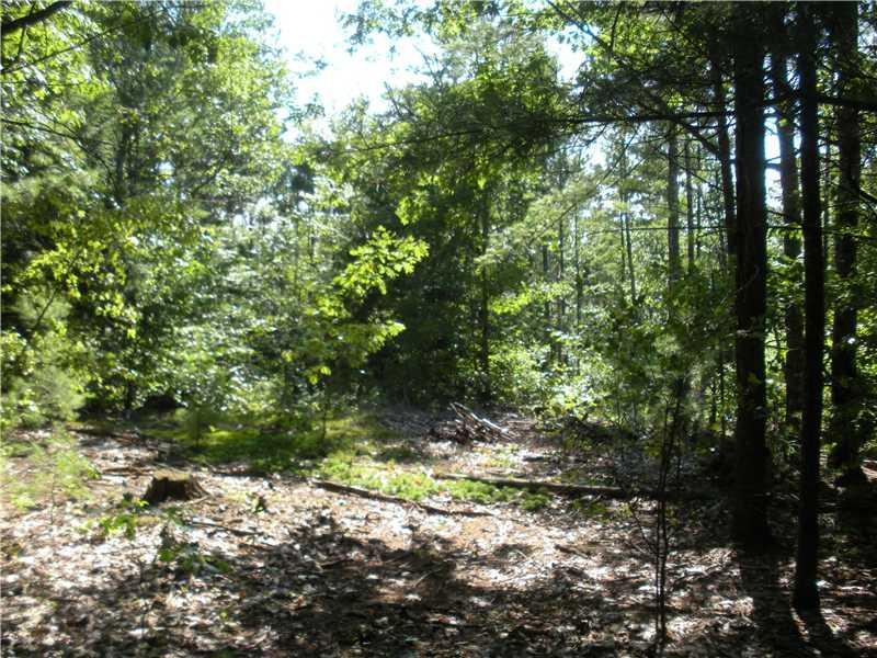 Lot 21 Hussey Road Parsonsfield, ME 04047 - Photo 14 of 15 Land. Interior of subject property