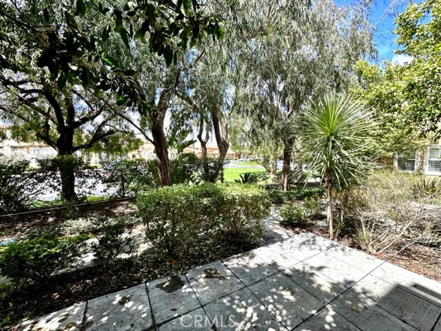 10 Paseo Rosa San Clemente, CA 92673 - Photo 33 of 46 a view of a backyard with plants and trees
