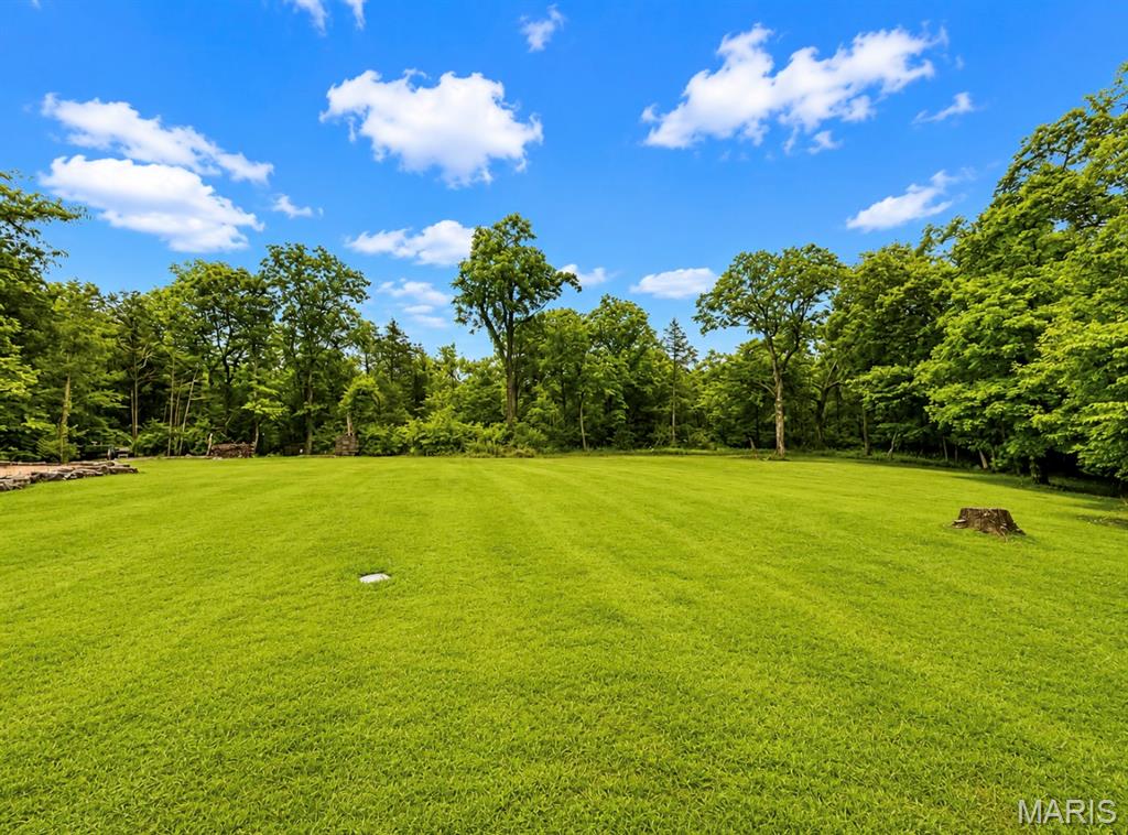 3208 Pintail Ridge Road Bonne Terre, MO 63628 - Photo 16 of 77