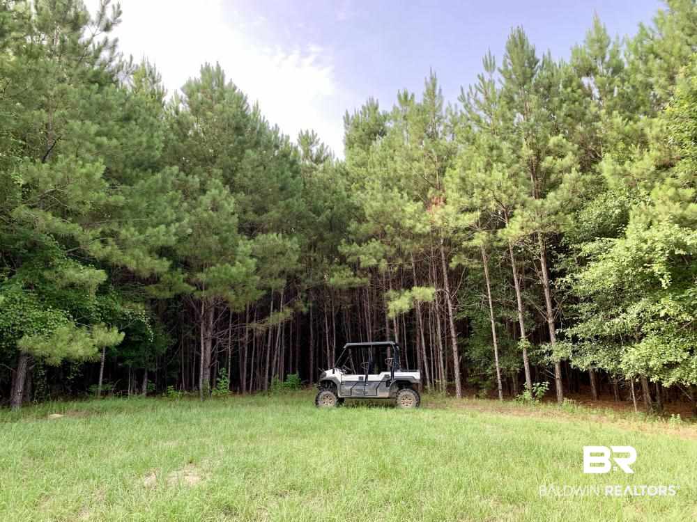 0 Country Road Uriah, AL 36480 - Photo 17 of 49