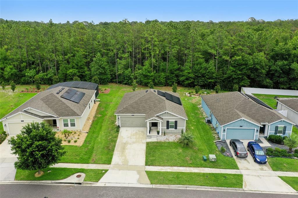4810 Magnetite Loop Mount Mount Dora, FL 32757 - Photo 51 of 67