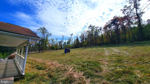 a view of a backyard with large tree