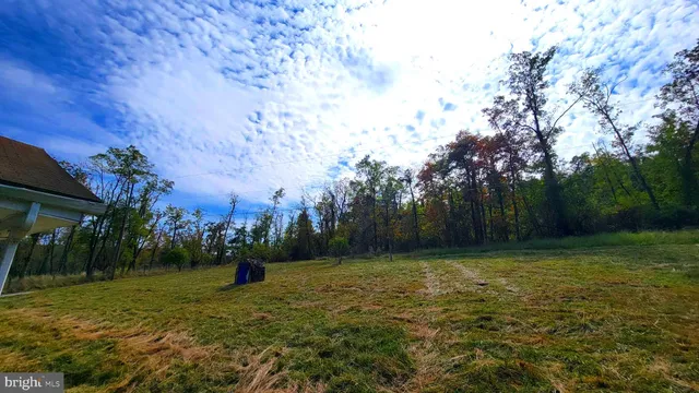 a view of a backyard