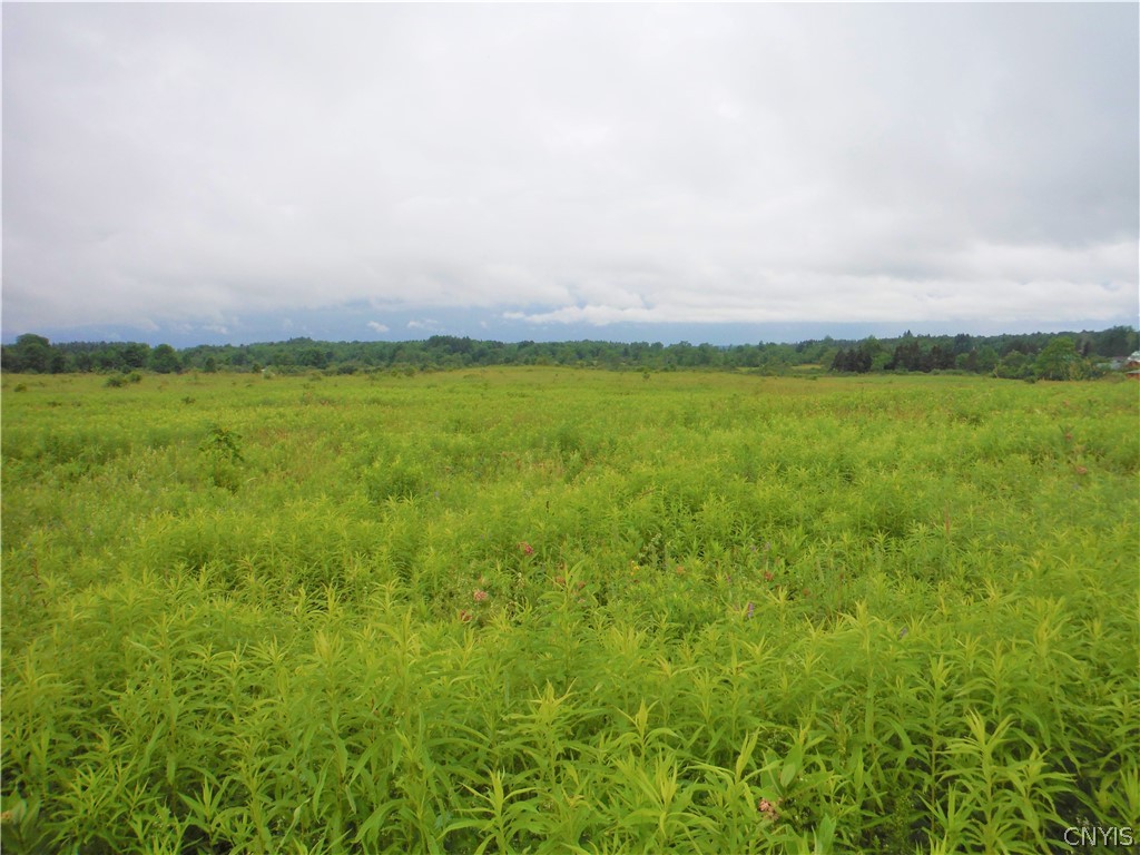 2145 State Route 26 Road Constableville, NY 13325 - Photo 1 of 1 View of lot from the left roadside - over the litt
