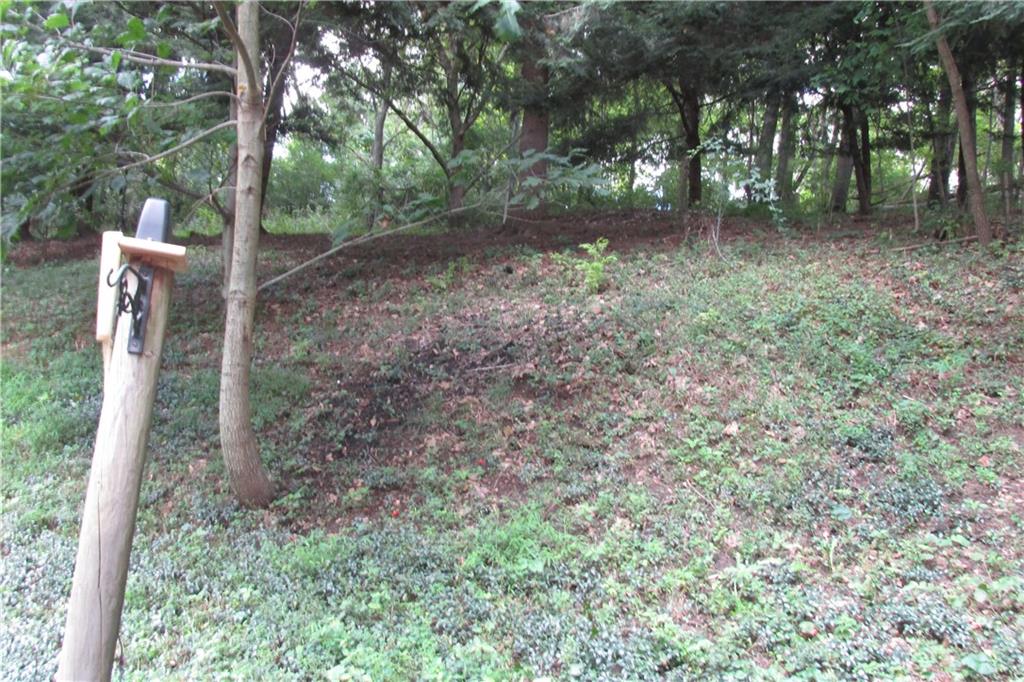 231 Mingo Church Road Finleyville, PA 15332 - Photo 18 of 20 View of rear yard