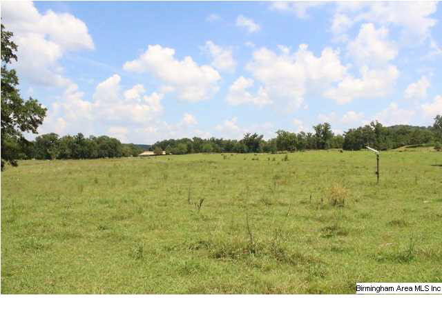 Mudd Street Lincoln, AL 35096 - Photo 21 of 32