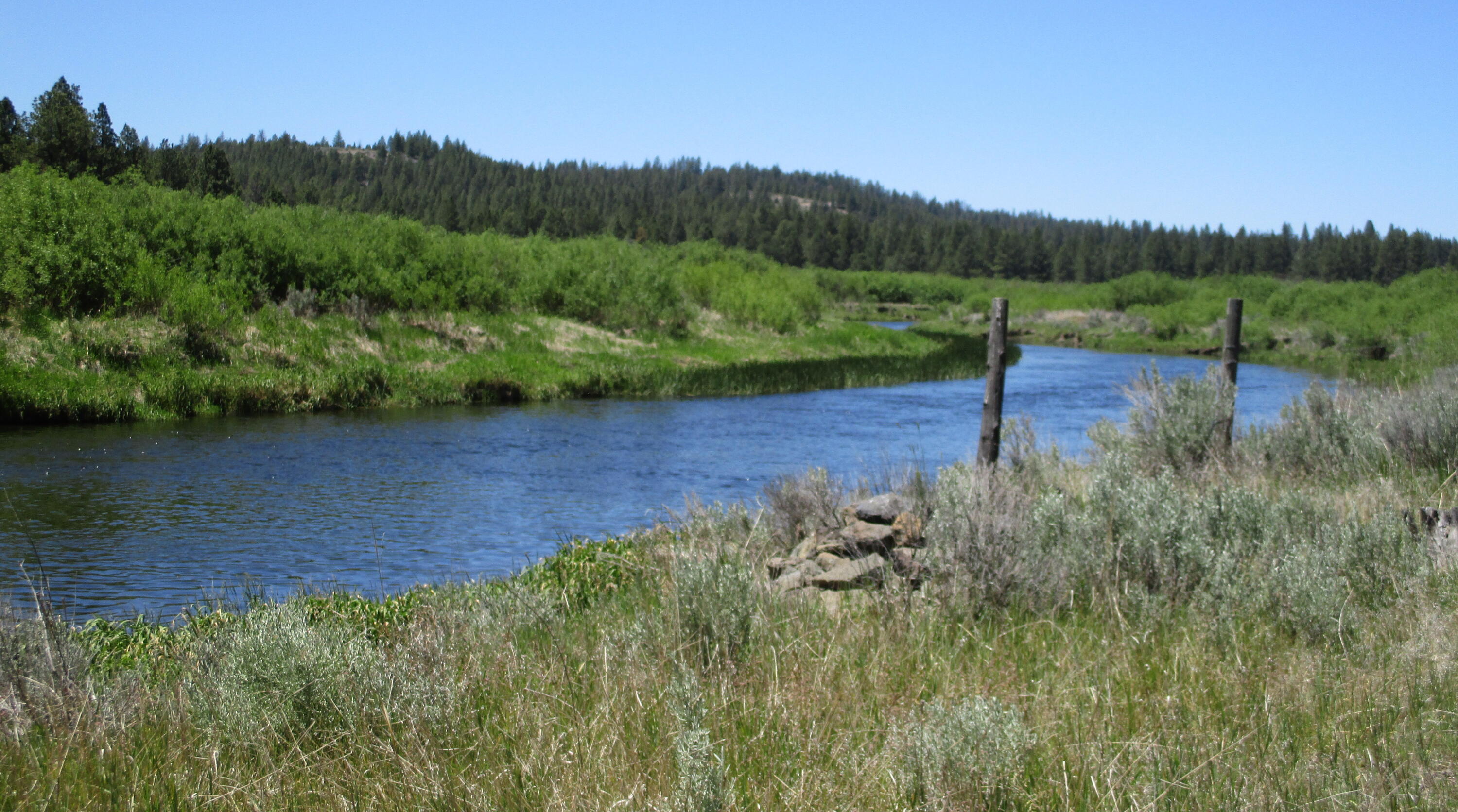 14914 Sprague River Road Chiloquin, OR 97624 - Photo 16 of 42 IMG_1061
