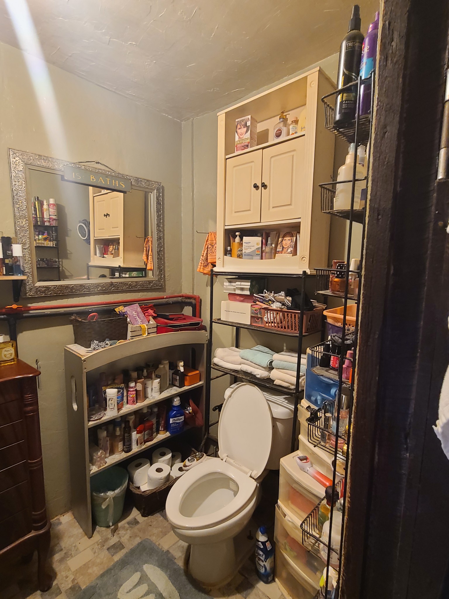 954 South Buchanan Road Waverly, TN 37185 - Photo 17 of 20 a bathroom with a toilet a sink and a mirror