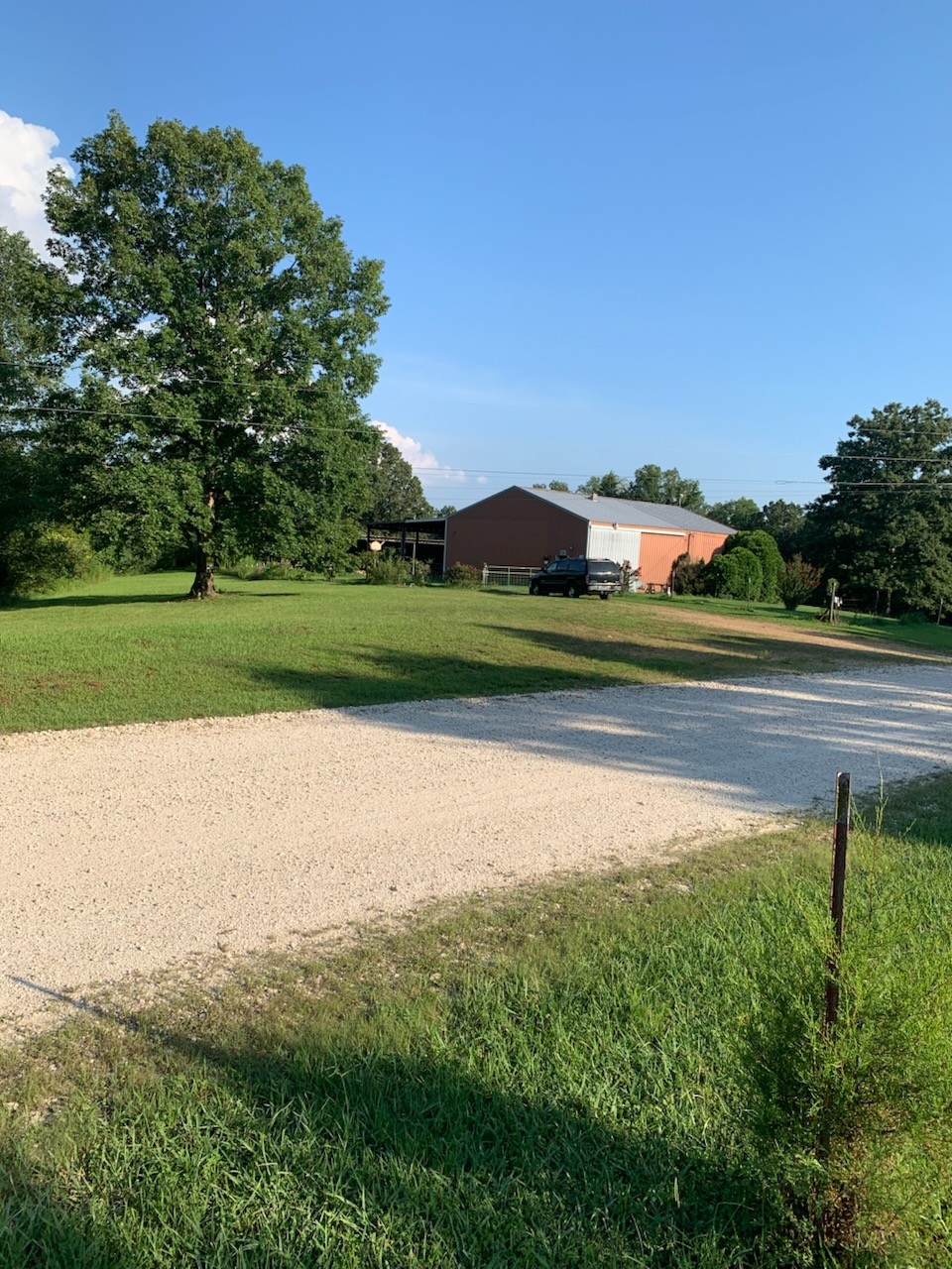 954 South Buchanan Road Waverly, TN 37185 - Photo 4 of 20 a view of a field of grass and trees