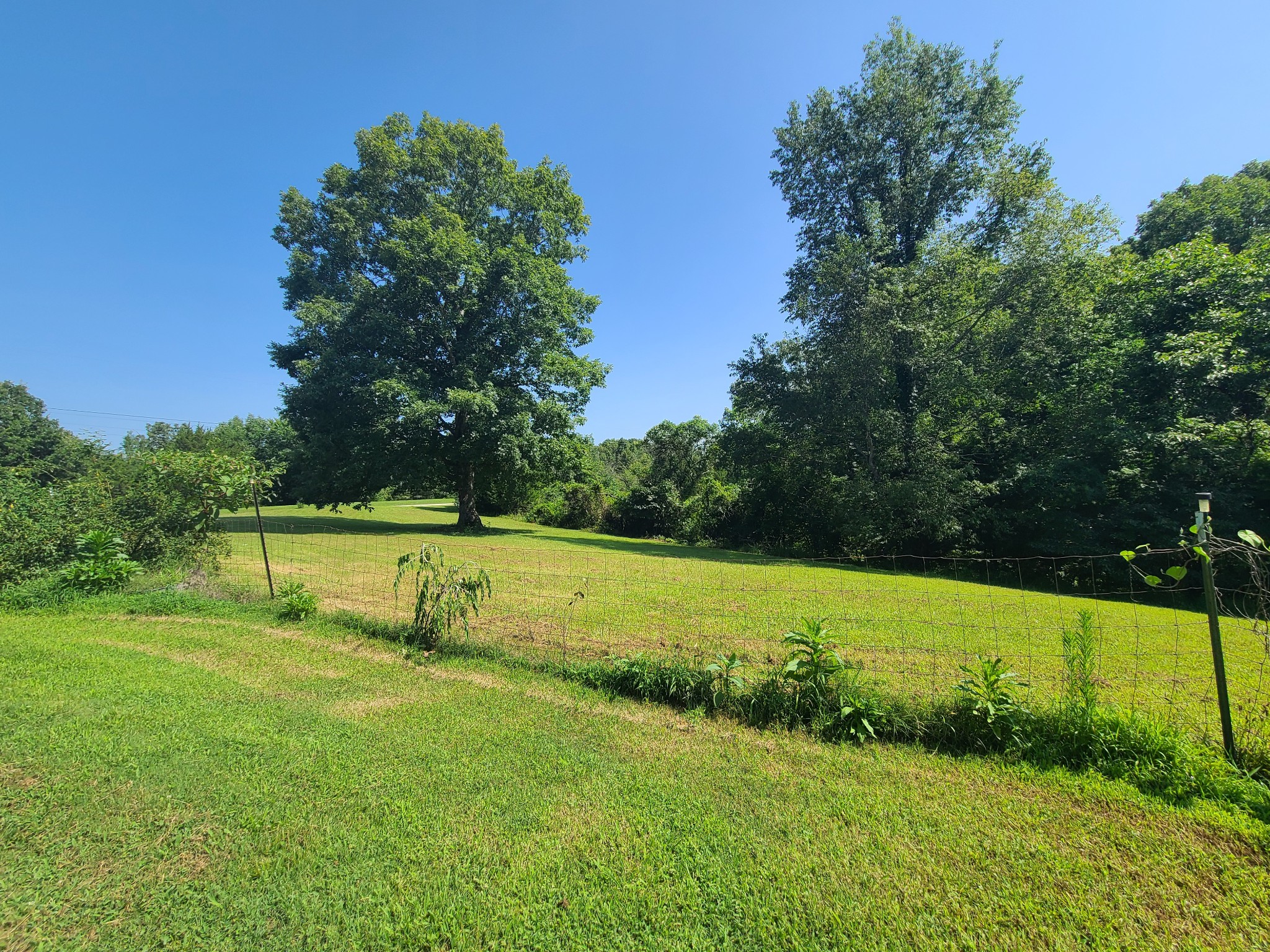 954 South Buchanan Road Waverly, TN 37185 - Photo 5 of 20 a view of an outdoor space and a yard