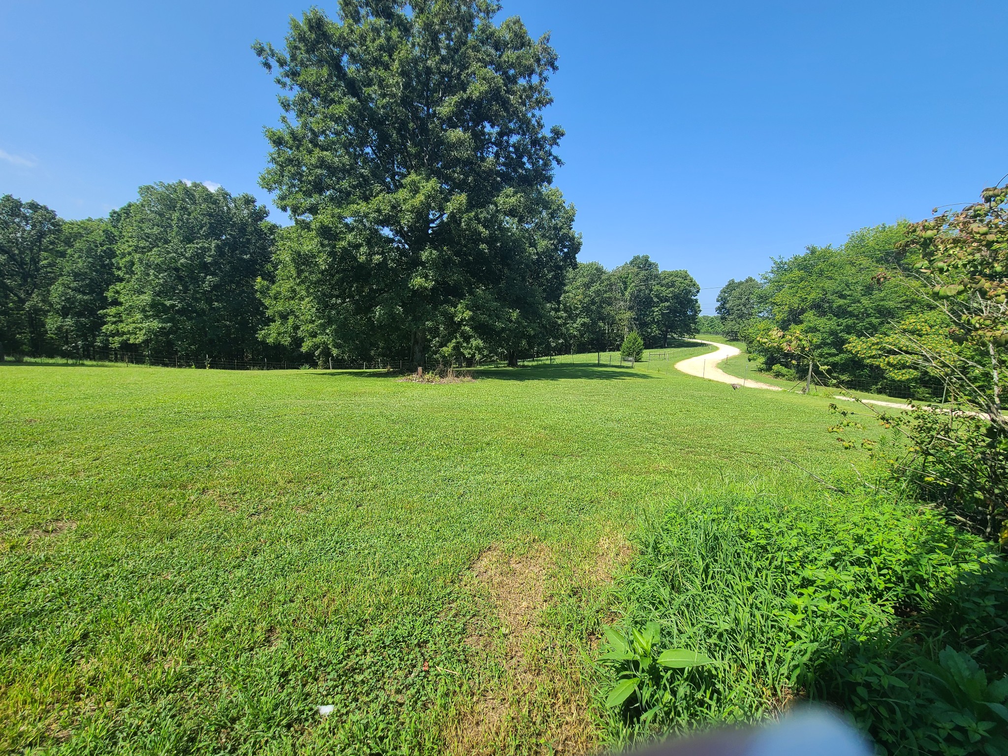 954 South Buchanan Road Waverly, TN 37185 - Photo 6 of 20 a view of a field with a trees in the background