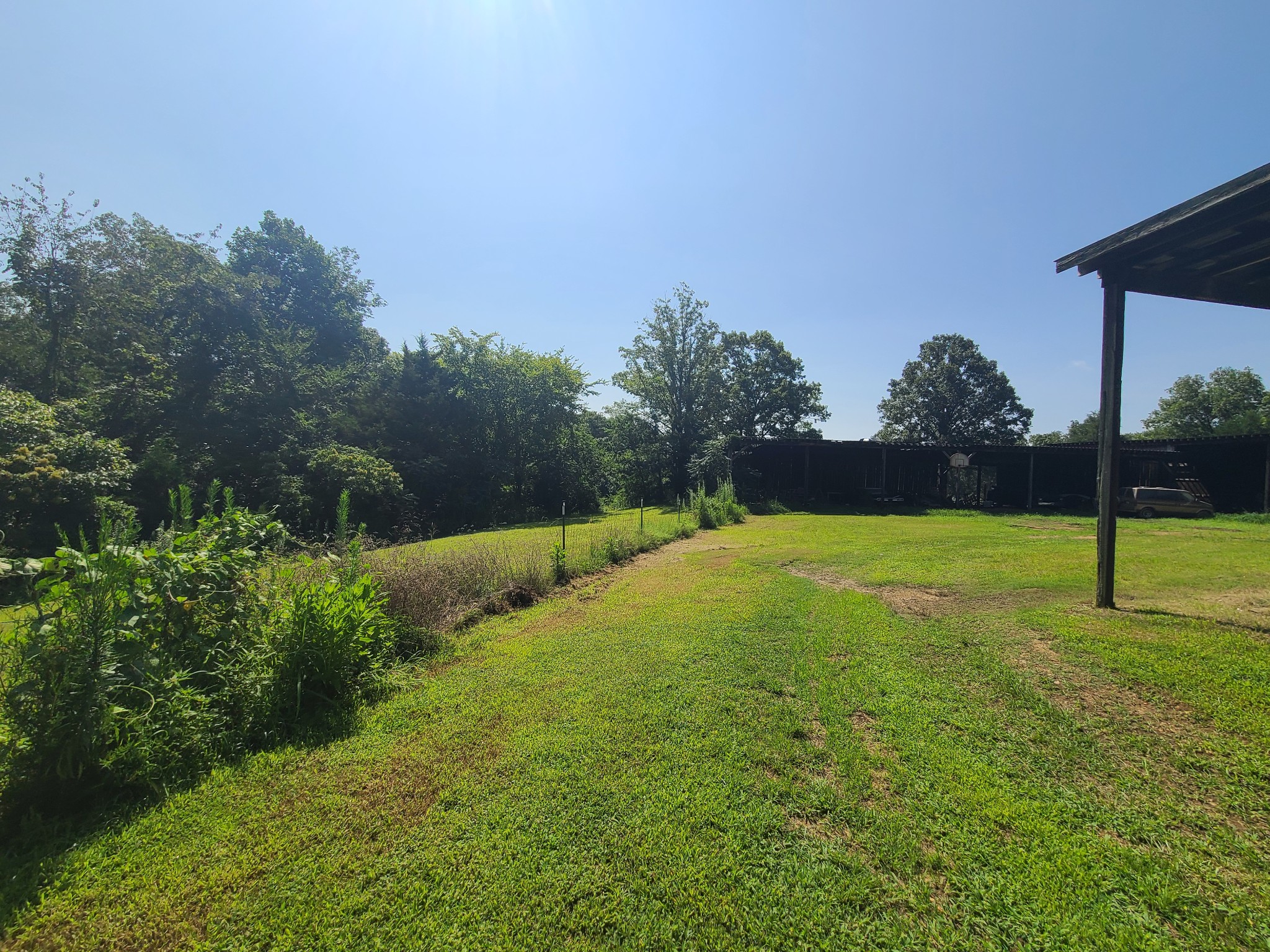 954 South Buchanan Road Waverly, TN 37185 - Photo 7 of 20 a backyard of a house with lots of green space and trees