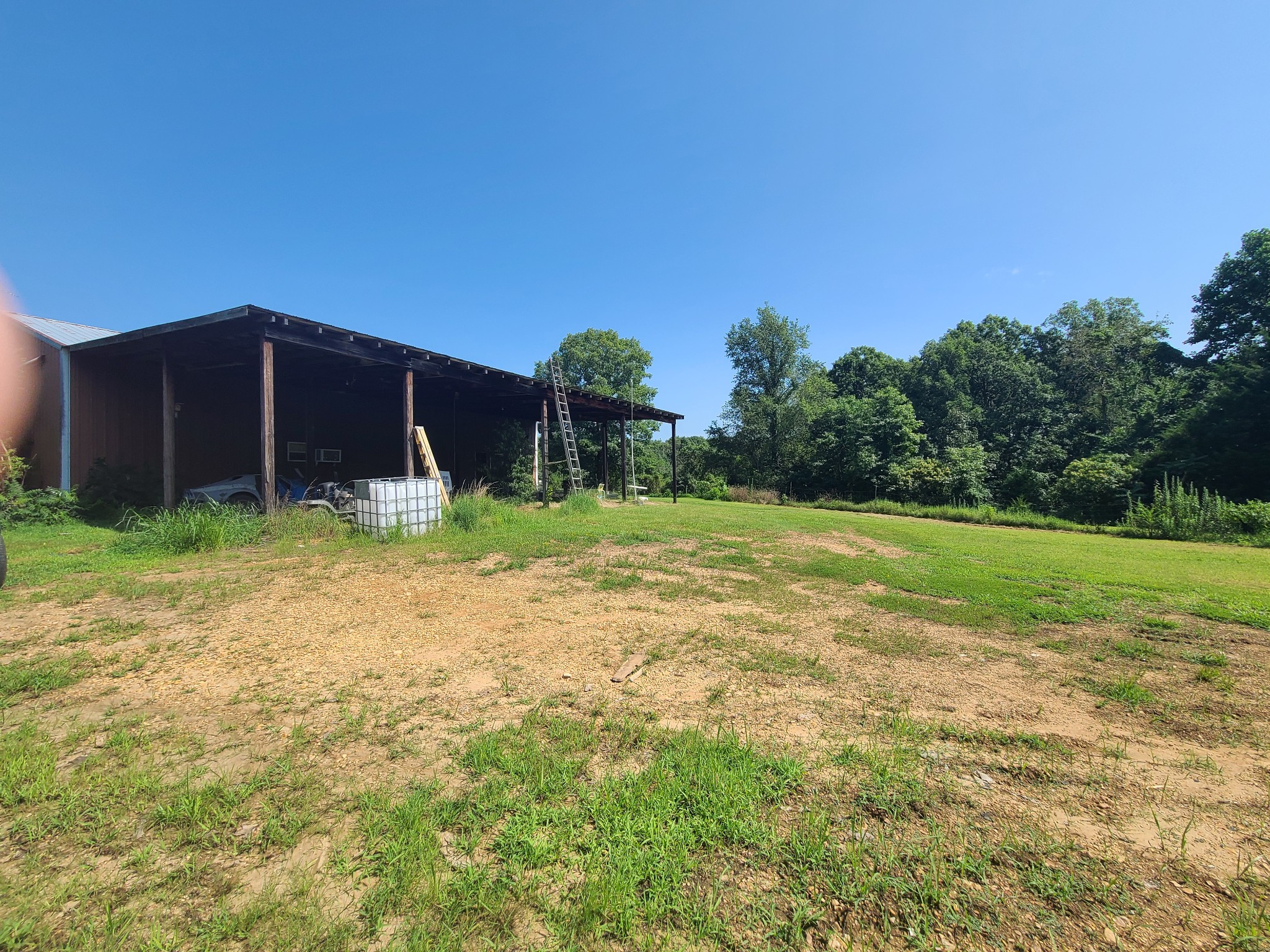 954 South Buchanan Road Waverly, TN 37185 - Photo 9 of 20 a backyard of a house with lots of green space