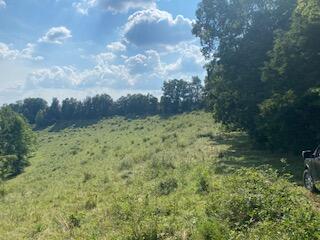 294 Hooster Run Road Wellington, KY 40387 - Photo 23 of 24 IMG_0758