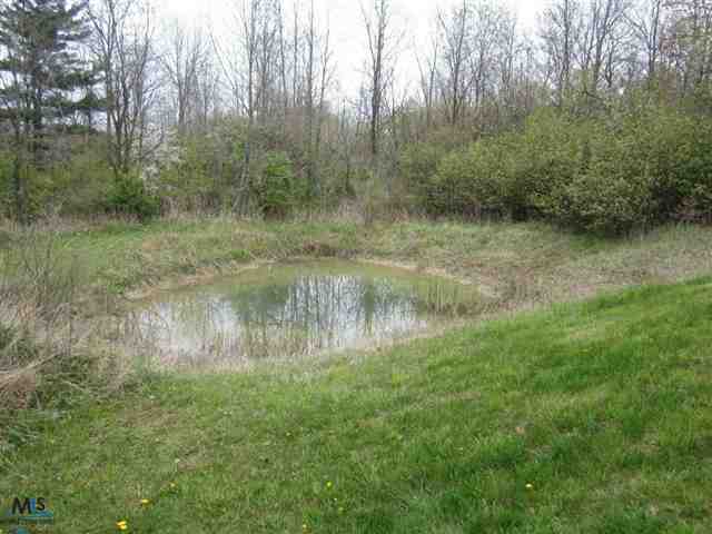 6505 Sheridan Line Road Lexington, MI 48450 - Photo 3 of 10 31103989-2.JPG