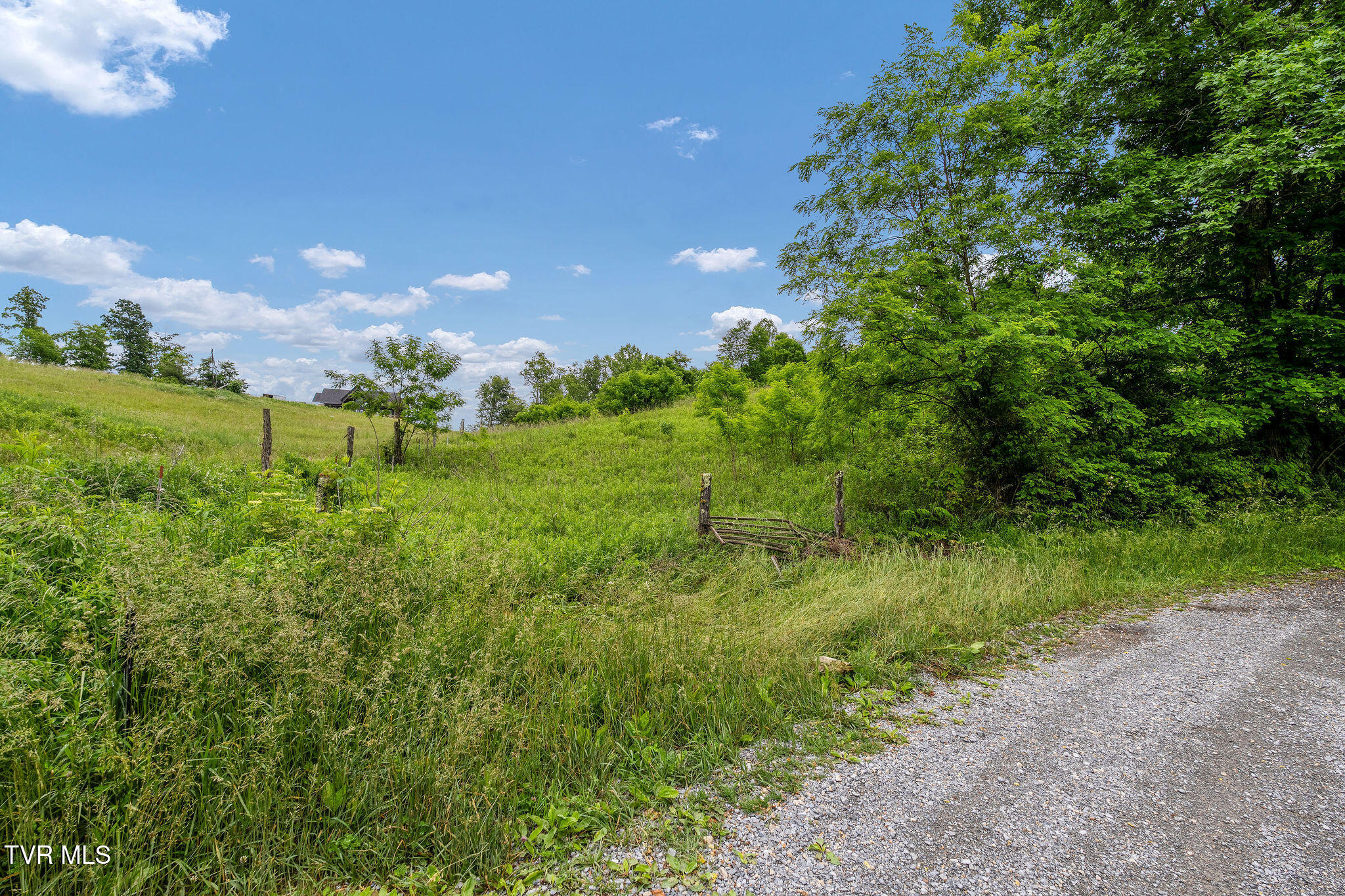 Tbd Walnut Mountain Road Butler, TN 37640 - Photo 18 of 36 DSC04455
