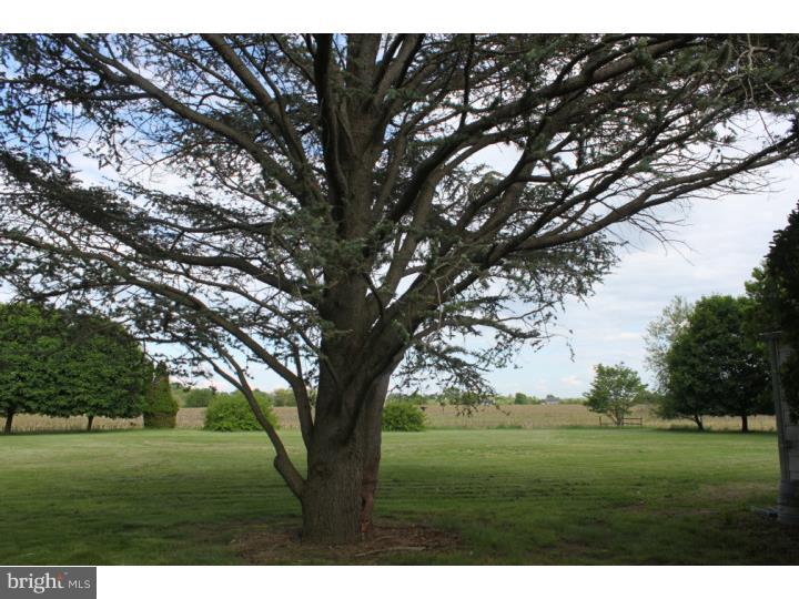 296 Swedesboro Road Pilesgrove, NJ 08098 - Photo 11 of 14 Back Yard