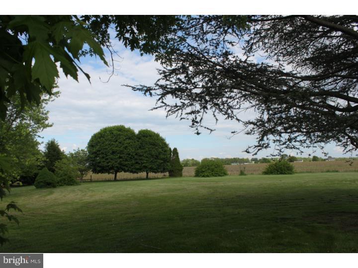 296 Swedesboro Road Pilesgrove, NJ 08098 - Photo 14 of 14 Back Yard
