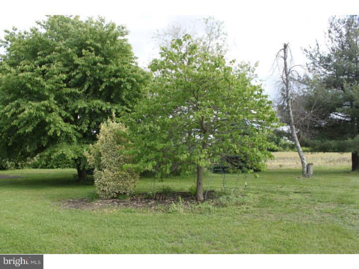296 Swedesboro Road Pilesgrove, NJ 08098 - Photo 10 of 14 Side Yard