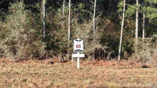 $99,900 | Lot 65 Straw Bridge Road, Jay, FL 32565
