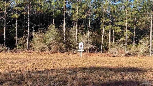 $99,900 | Lot 65 Straw Bridge Road, Jay, FL 32565