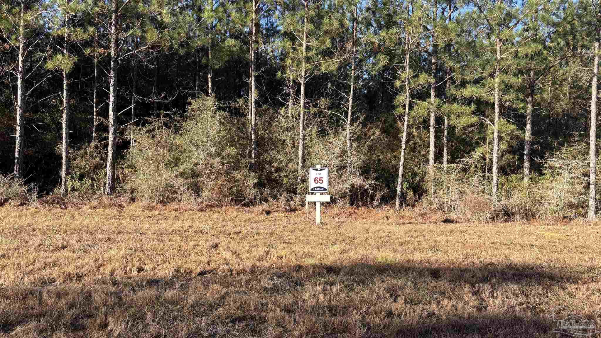 Lot 65 Straw Bridge Road Jay, FL 32565 - Photo 2 of 5