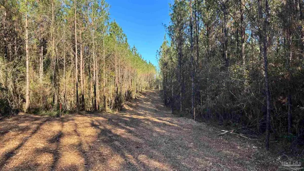 $99,900 | Lot 65 Straw Bridge Road, Jay, FL 32565