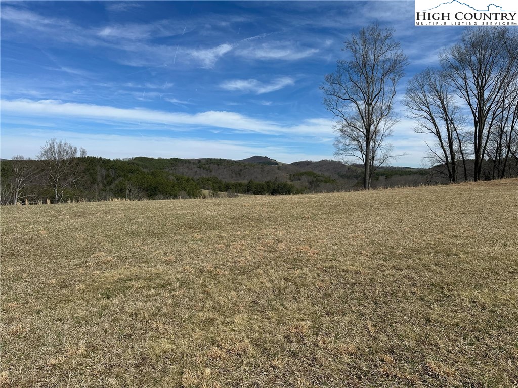 Lot 14 Turtle Ridge Road Sparta, NC 28675 - Photo 2 of 9