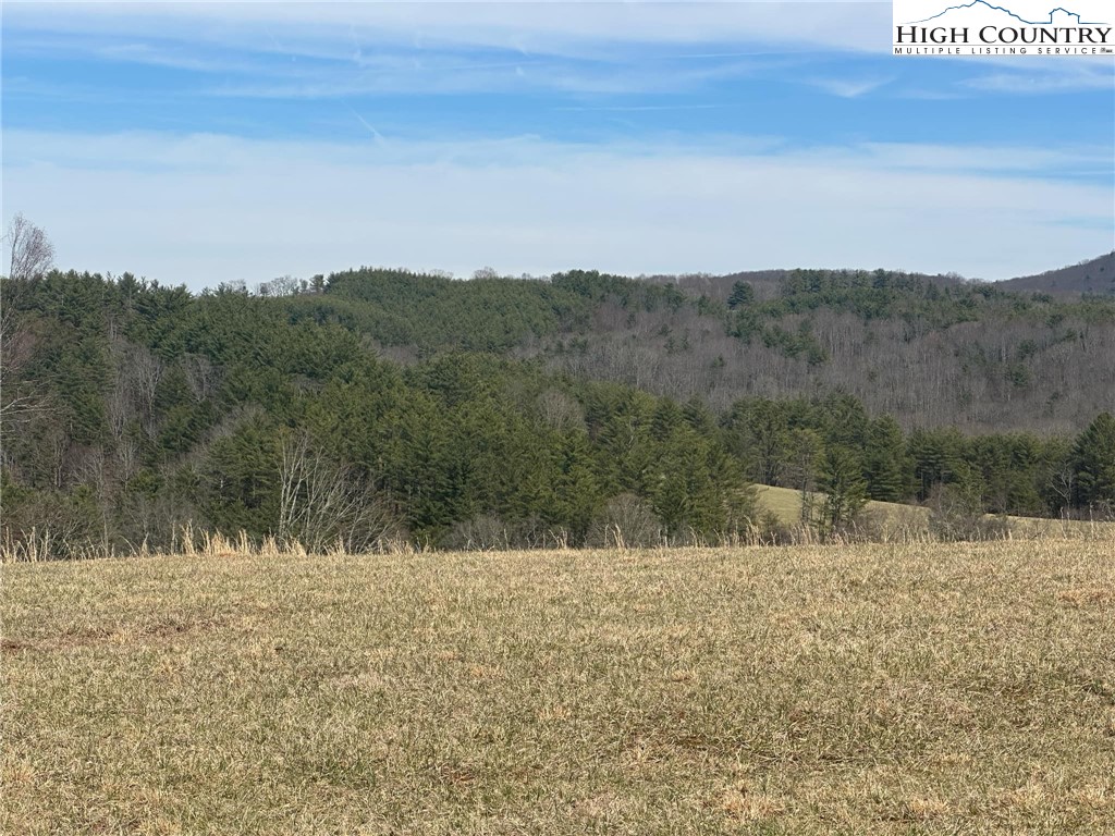 Lot 14 Turtle Ridge Road Sparta, NC 28675 - Photo 4 of 9