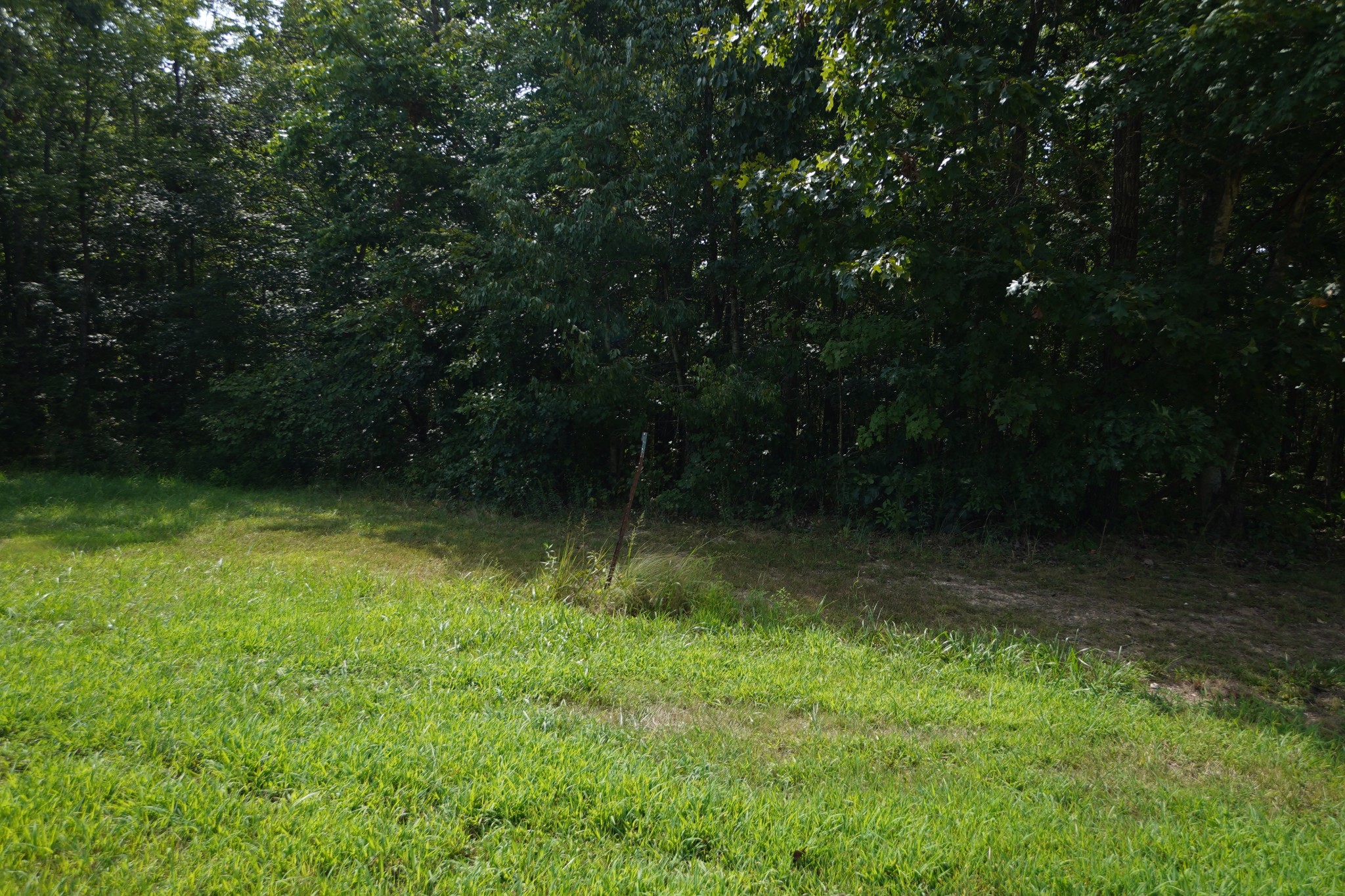 166 Skyline Ridge Dover, TN 37058 - Photo 15 of 26 Gallery Image 15