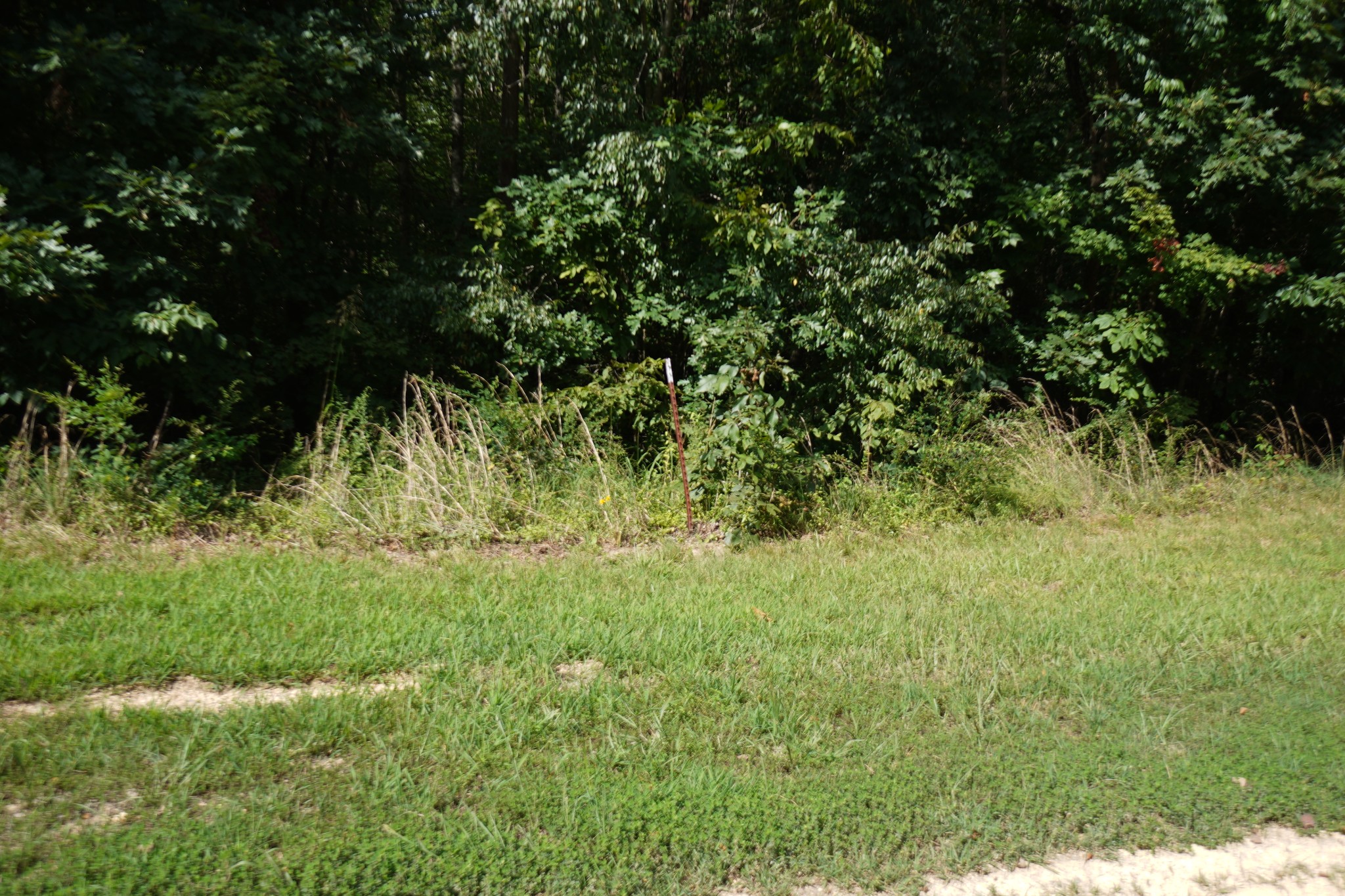 166 Skyline Ridge Dover, TN 37058 - Photo 18 of 26 Gallery Image 18