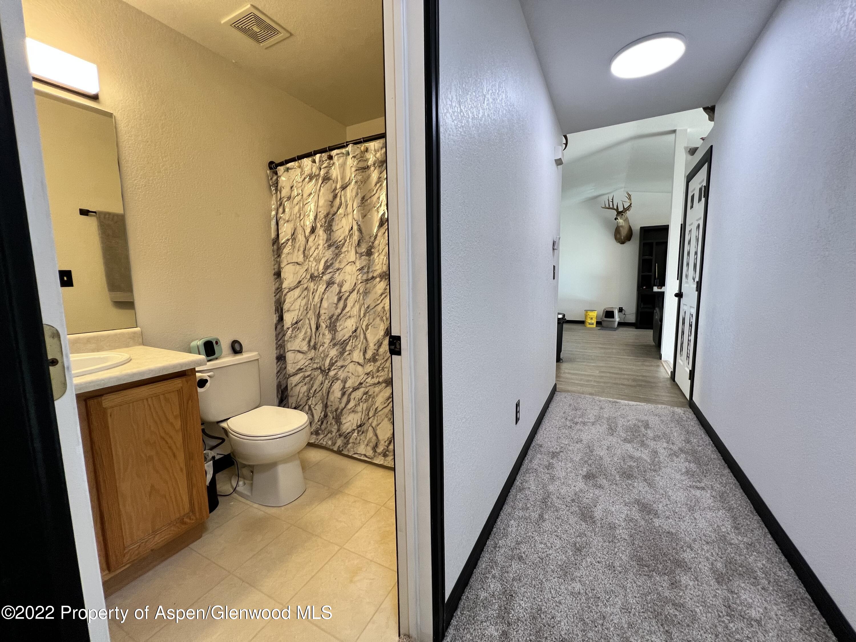 2447 Meadow Circle Rifle, CO 81650 - Photo 9 of 36 a view of a bathroom with toilet a sink and a mirror