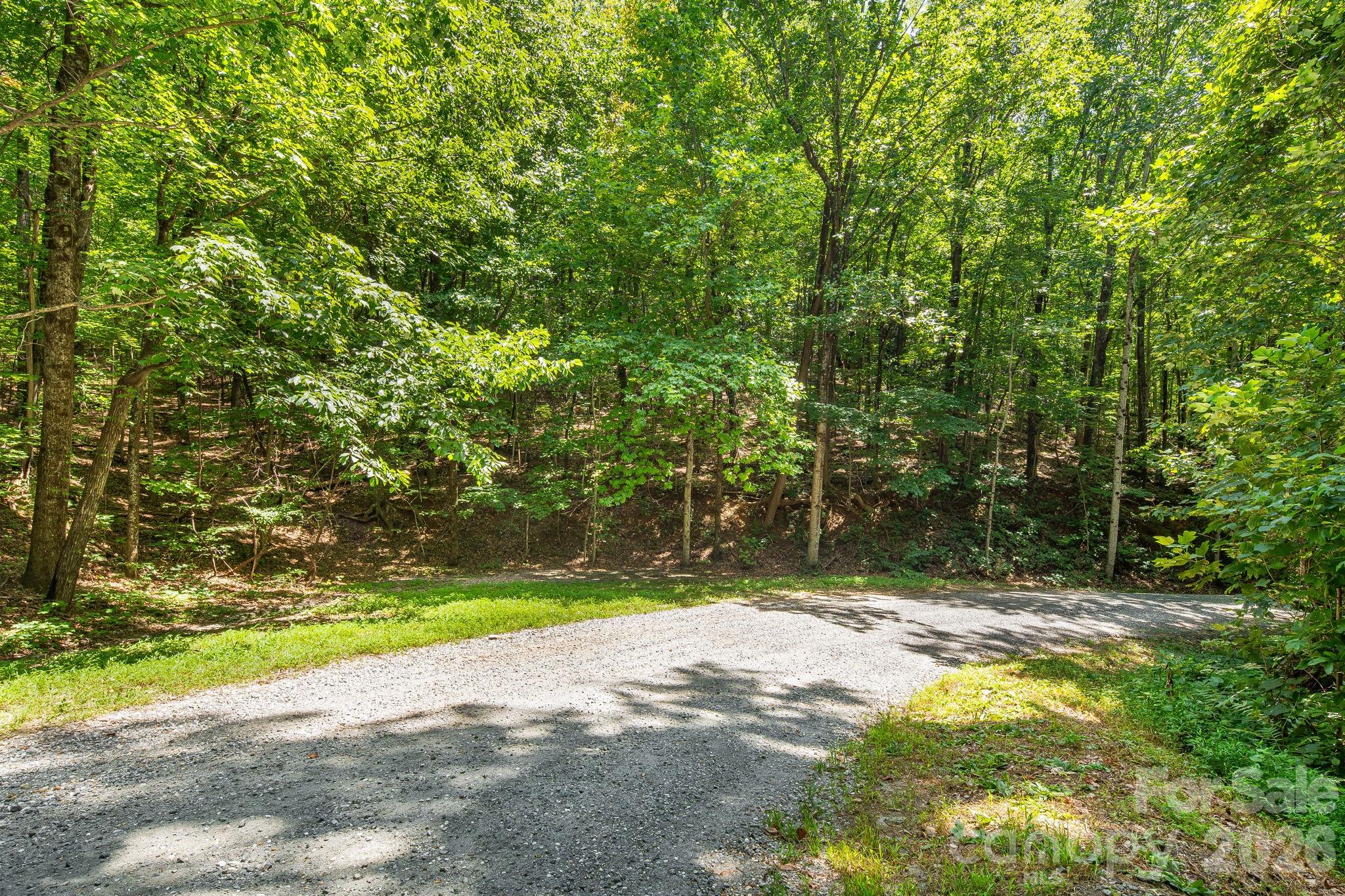 Lot 340 Melrose Mountain Road, Unit 340 Tryon, NC 28782 - Photo 5 of 11 Gallery Image 5