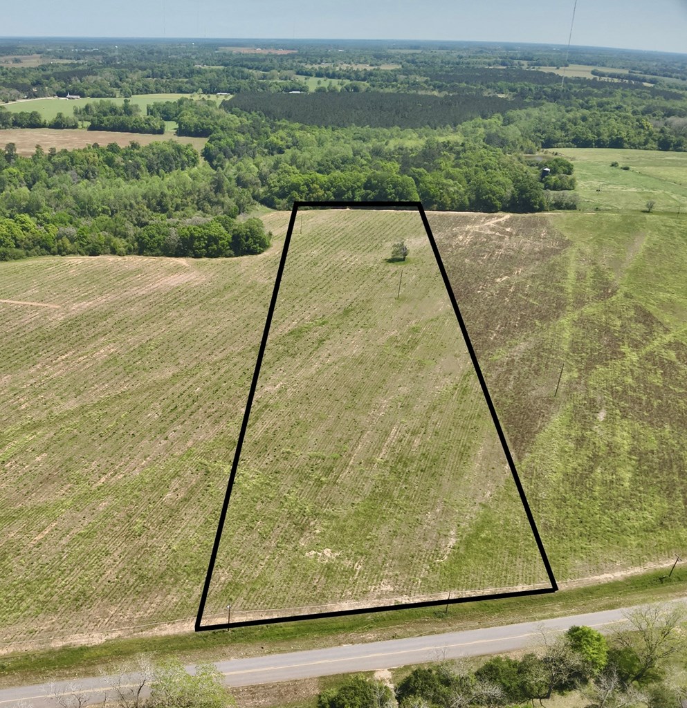 11.97-acres Omussee Road Cowarts, AL 36321 - Photo 6 of 14