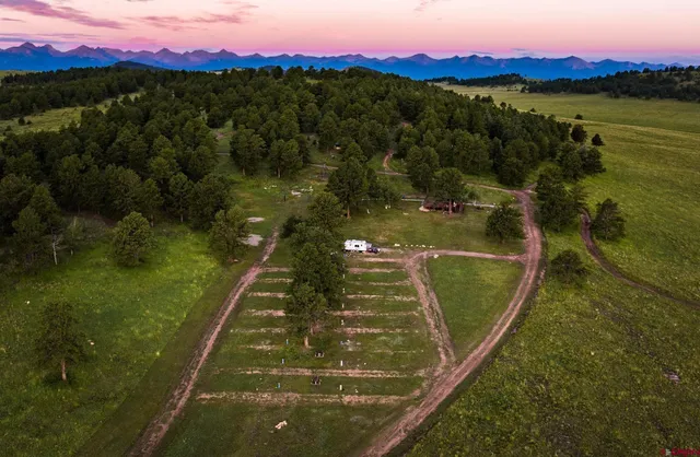 a view of a lush green outdoor space with a lake view