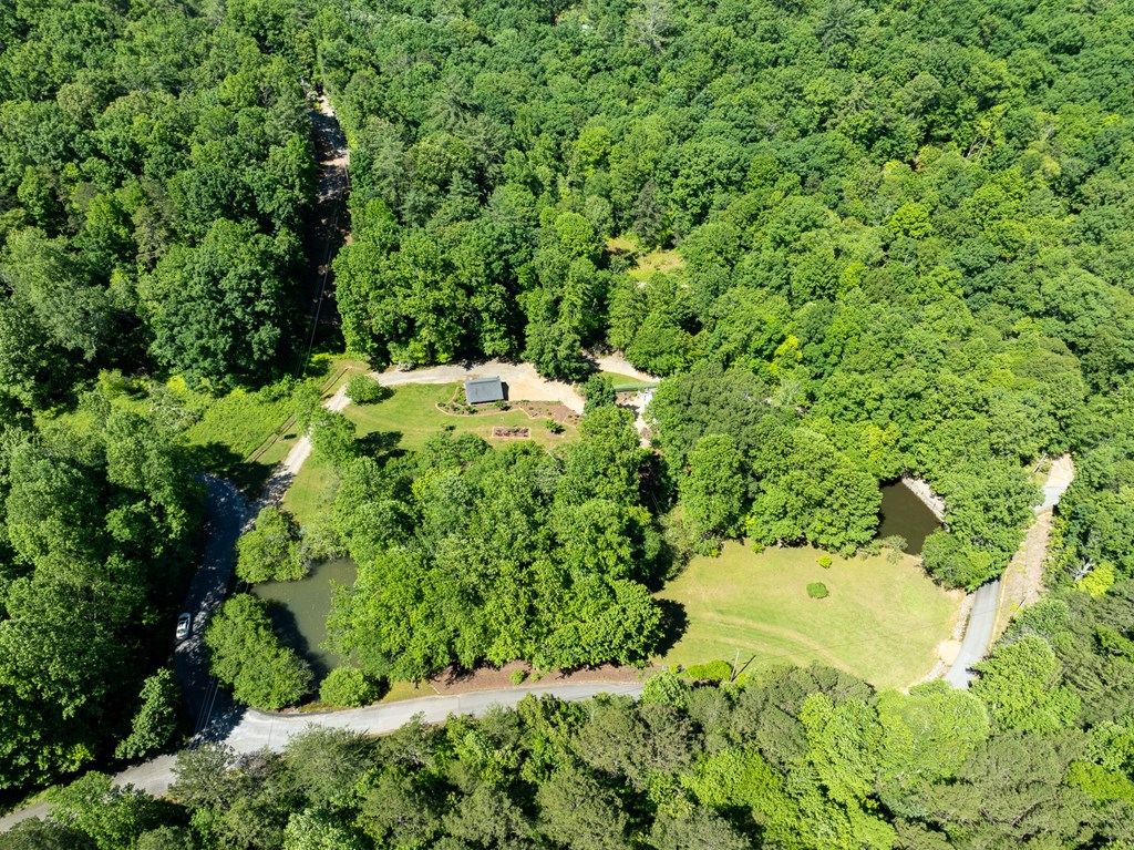 724 Fish Cove Road Blairsville, GA 30512 - Photo 38 of 91 Gallery Image 38
