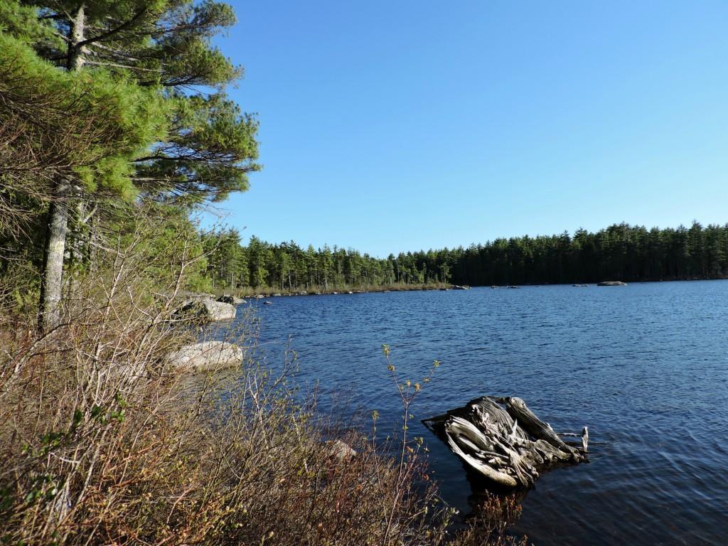 Lot #14 Short Point Way Orland, ME 04472 - Photo 1 of 17 Photo