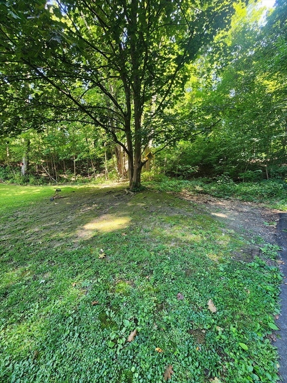 0 Marshall Street Greenfield, MA 01301 - Photo 3 of 3 a view of a lush green space
