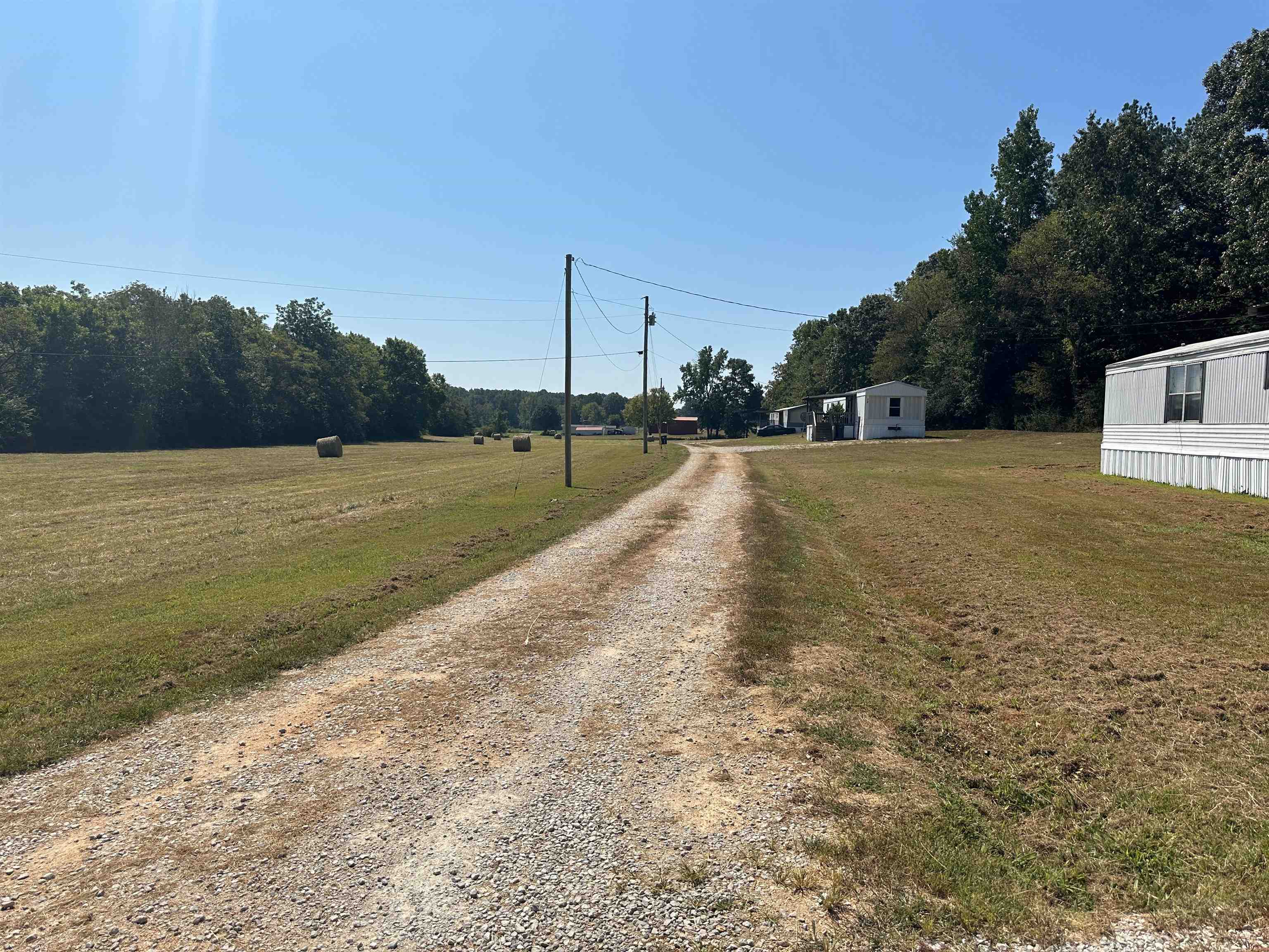 0 Henderson Road Sardis, TN 38371 - Photo 13 of 21 a view of a lake with beach and large trees