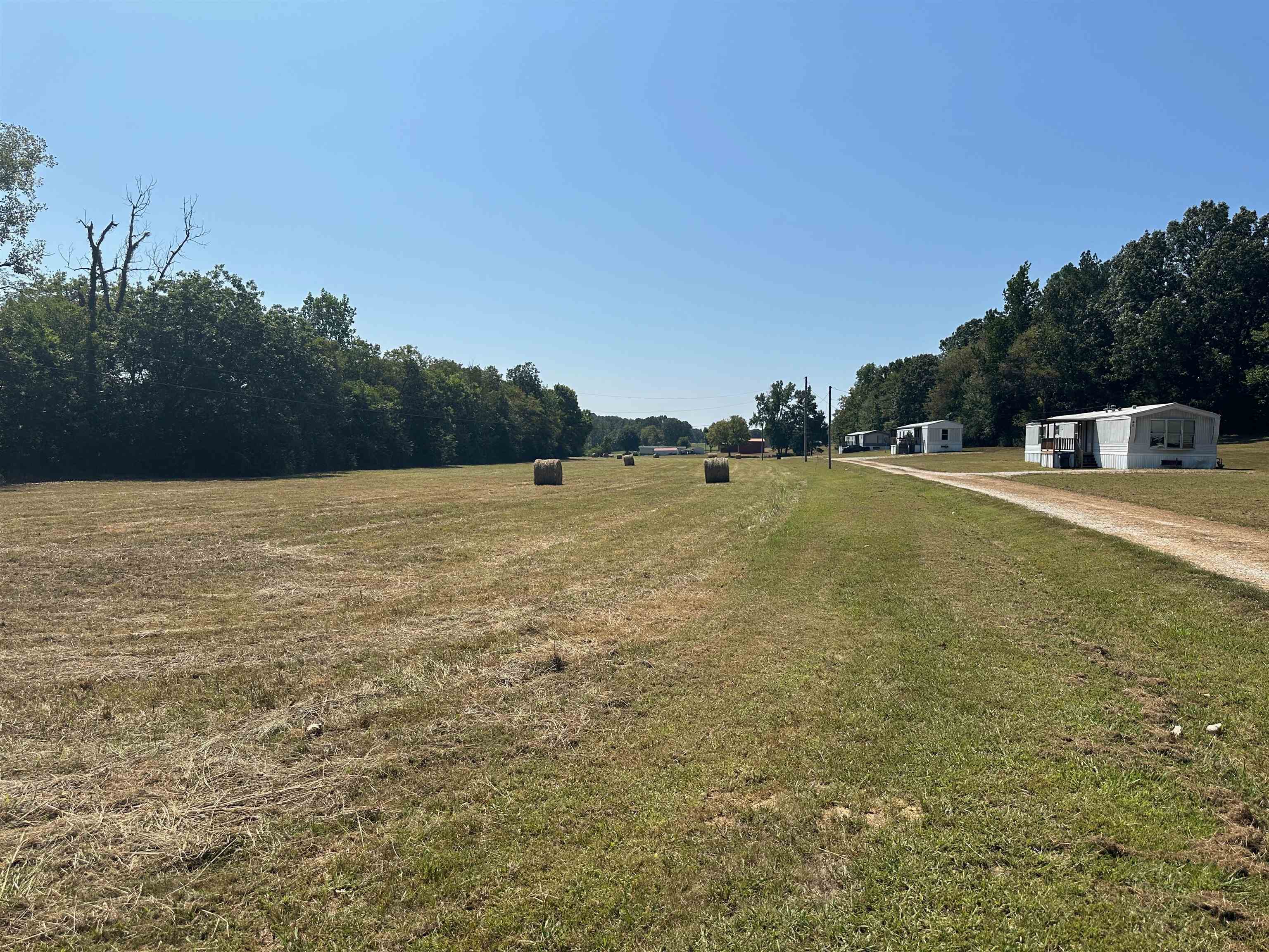 0 Henderson Road Sardis, TN 38371 - Photo 19 of 21 a view of a field with an trees in the background